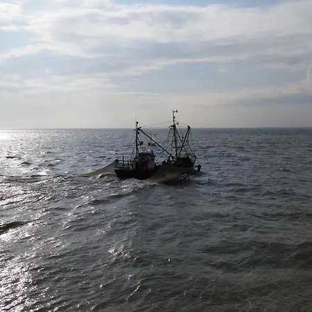 Marlie S - Comfort Stadsapp Met Zonnig Terras Appartement Nieuport